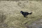 dsc_4545a_small.jpg
