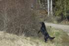 dsc_4574a_small.jpg