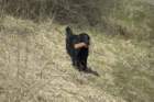dsc_4583a_small.jpg