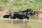 img_4374_small.jpg
