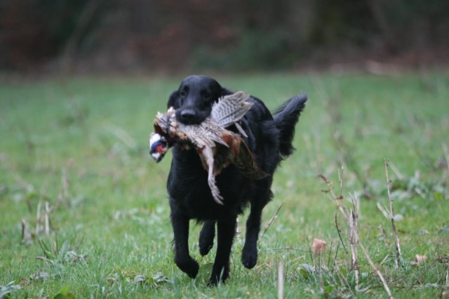 img_2976.jpg